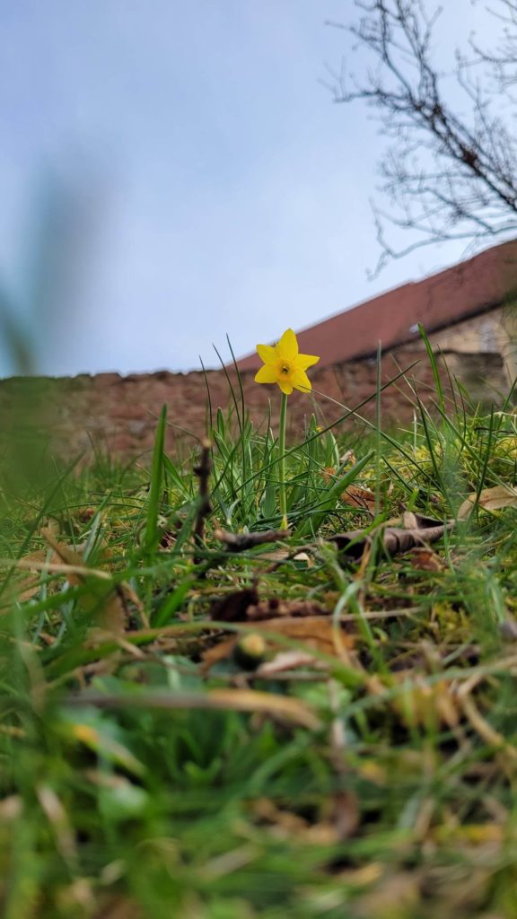 Klosterfrühling_Foto_M. Körner